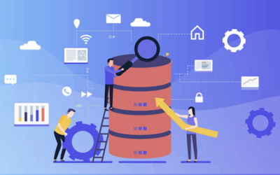 Quickly extract the most frequent terms from your source texts